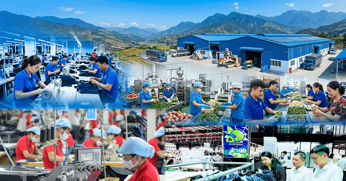 Lào Cai phấn đấu thành lập mới 1.500 doanh nghiệp ngoài nhà nước năm 2026