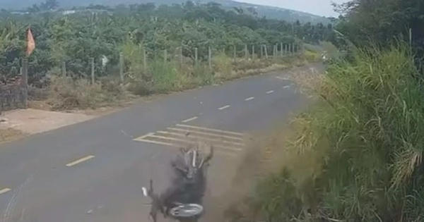 Khởi tố cựu CSGT trong vụ tai nạn khiến nam sinh 18 tuổi tử vong ở Đắk Lắk