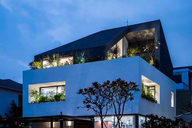 Biệt thự 3 tầng như một khối lập phương 'mọc' cây ở TP HCM - Ảnh 1 Biệt thự 3 tầng như một khối lập phương 'mọc' cây ở TP HCM - Ảnh 1