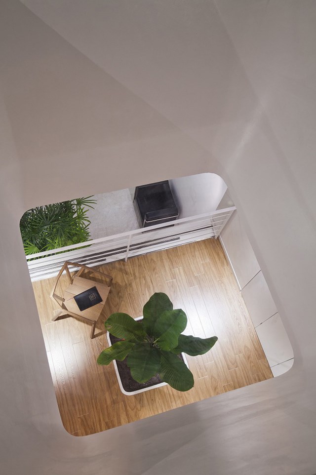 Nh&oacute;m kiến tr&uacute;c sư đ&atilde; bố tr&iacute; 15 &ocirc; trống d&agrave;nh cho c&aacute;c loại c&acirc;y nhiệt đới, tạo ra những mảng xanh m&aacute;t trong ng&ocirc;i nh&agrave;.