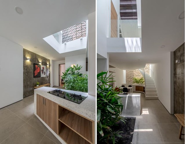 Đ&acirc;y l&agrave; nơi c&aacute;c th&agrave;nh vi&ecirc;n trong gia đ&igrave;nh giao tiếp với nhau một c&aacute;ch trực tiếp hoặc gi&aacute;n tiếp th&ocirc;ng qua hệ thống khứu gi&aacute;c nghe, ngửi, nh&igrave;n...