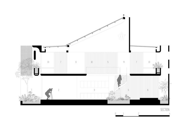 Mặt cắt thẳng đứng.