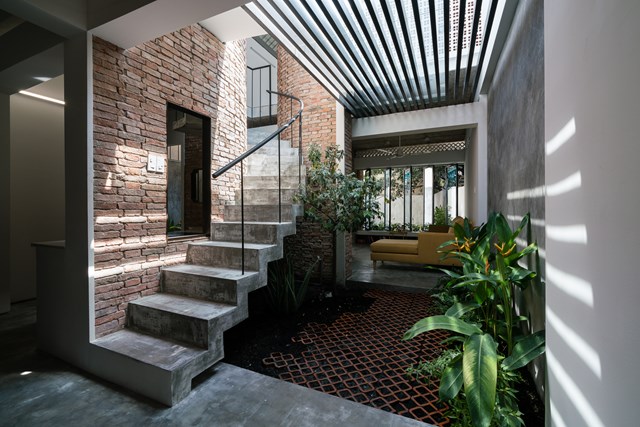 Ngôi nhà cổ được cải tạo e ấp dưới bóng cây ở TP HCM - Ảnh 2