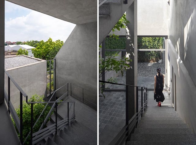 2 mảng tường chạy dọc mảng xanh phủ đầy c&acirc;y vảy ốc leo vừa l&agrave;m m&aacute;t khoảng s&acirc;n vừa mang đến sự thư th&aacute;i cho c&aacute;c kh&ocirc;ng gian b&ecirc;n trong.