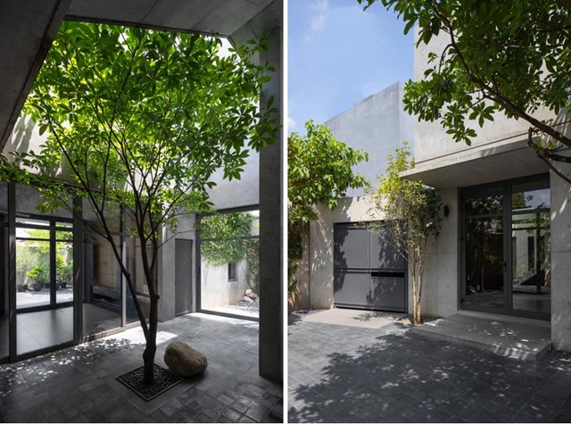 Trong s&acirc;n c&oacute; c&acirc;y lộc vừng tạo b&oacute;ng m&aacute;t cho ph&ograve;ng kh&aacute;ch v&agrave; cầu thang v&agrave;o những ng&agrave;y nắng n&oacute;ng.