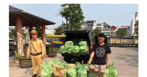 Quảng Ninh: Kiểm tra xe bán tải lúc rạng sáng, phát hiện 240 bình khí cười