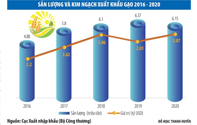 Giải mã đà tăng của giá gạo xuất khẩu - Ảnh 1