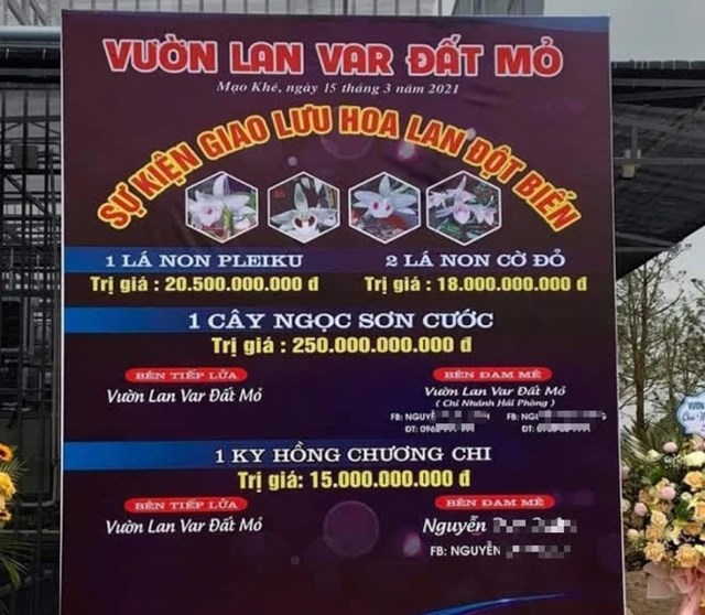 Thương vụ chuyển giao lan đột biến Ngọc Sơn Cước 
