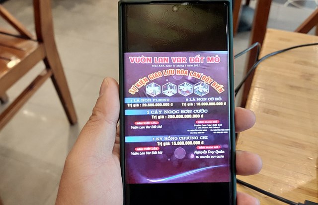 4 giao dịch lan đột biến của vườn lan var đất mỏ trị gi&aacute; gần&nbsp;300 tỷ đồng&nbsp;được lan truyền tr&ecirc;n mạng x&atilde; hội trước đ&oacute;. Ảnh:&nbsp;Quốc Nam.