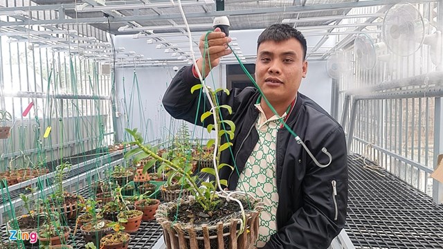 Anh Thanh b&ecirc;n vườn ươm lan đột biến. Ảnh:&nbsp;Quốc Nam.