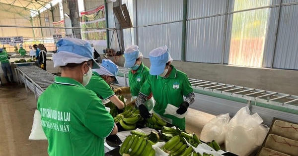 Hoàng Anh Gia Lai (HAG): Chốt quyền dự ĐHĐCĐ và tất toán 700 tỷ đồng nợ trái phiếu