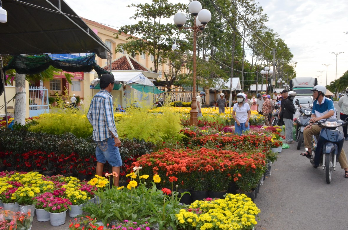 Phường Bạc Liêu (Cà Mau): Tái hiện hồn Tết Nam Bộ trong không gian phát triển mới