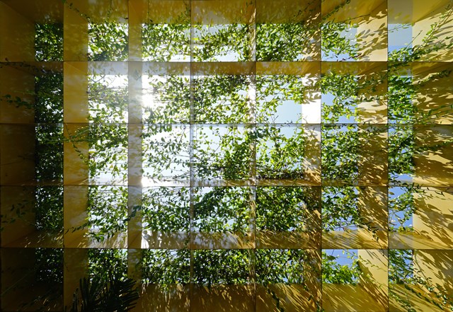 Nhà của Hoa - “trạm cảm xúc xanh” kết nối năng lượng tích cực - Ảnh 1 Nhà của Hoa - “trạm cảm xúc xanh” kết nối năng lượng tích cực - Ảnh 1