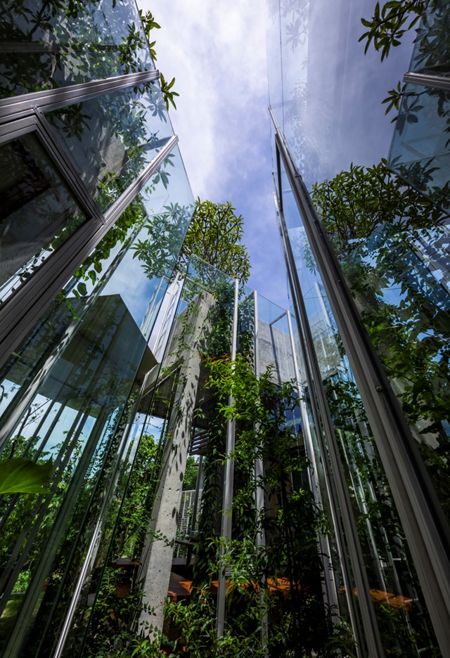 Nh&igrave;n từ b&ecirc;n ngo&agrave;i, ng&ocirc;i nh&agrave; mang lại cảm gi&aacute;c như một c&aacute;i c&acirc;y lớn mọc l&ecirc;n từ mặt đất, sinh trưởng giữa khu rừng chứ kh&ocirc;ng phải một c&ocirc;ng tr&igrave;nh được&nbsp;x&acirc;y bởi b&agrave;n tay con người.