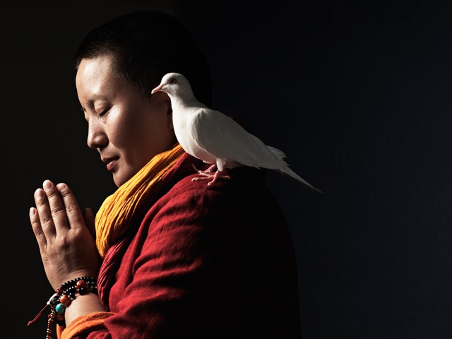 Ani Choying Drolma l&agrave; biểu tượng của d&ograve;ng nhạc thiền ca, lần đầu đến Việt Nam. &nbsp;