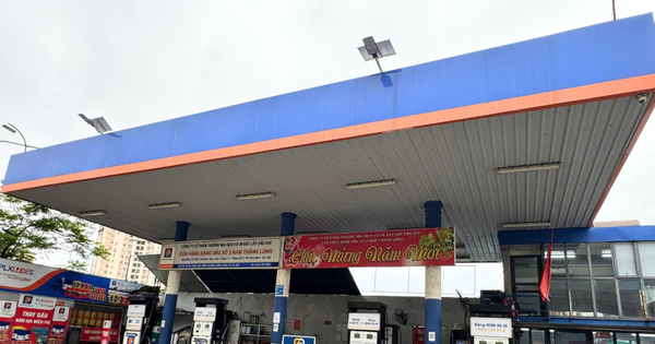 Hà Nội cho doanh nghiệp chuyển đổi hơn 3.000 m2 đất trồng lúa để thực hiện kinh doanh xăng dầu