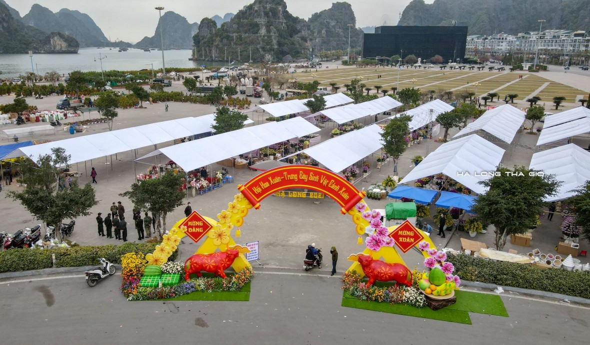 Quảng Ninh rộn ràng chuỗi sự kiện văn hóa, du lịch dịp Tết Bính Ngọ 2026 Quảng Ninh rộn ràng chuỗi sự kiện văn hóa, du lịch dịp Tết Bính Ngọ 2026