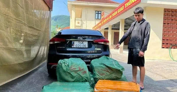 Biên phòng Quảng Ninh phát hiện ô tô chở gần 300kg nầm lợn không rõ nguồn gốc