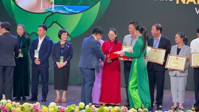 Cô gái cao nguyên: Hành trình nâng tầm trái hồng bản địa - Ảnh 3