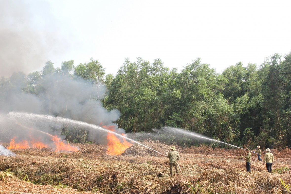 Giữ vững “lá phổi xanh” U Minh Hạ - tạo đà phát triển bền vững