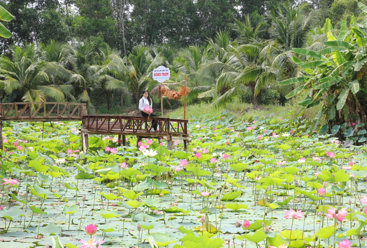 Giữ vững “lá phổi xanh” U Minh Hạ - tạo đà phát triển bền vững