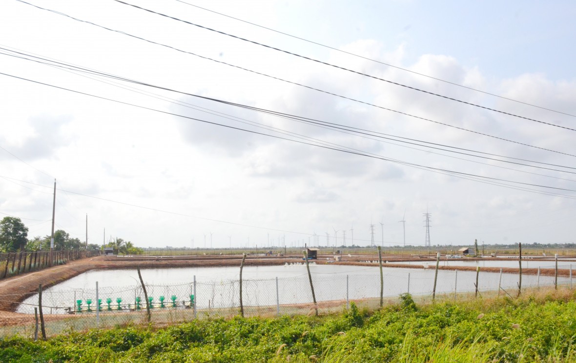 Xã Hòa Bình (Cà Mau) bứt phá mạnh mẽ trong vận hành chính quyền địa phương hai cấp