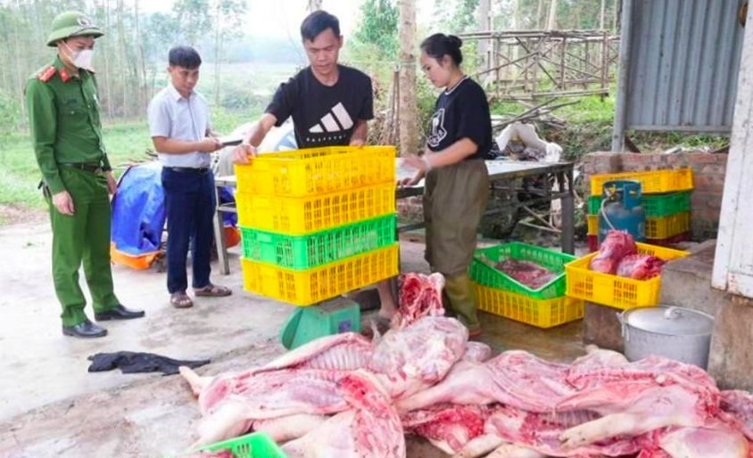 Thu giữ gần 800kg thịt lợn bốc mùi hôi thối chuẩn bị tung ra thị trường
