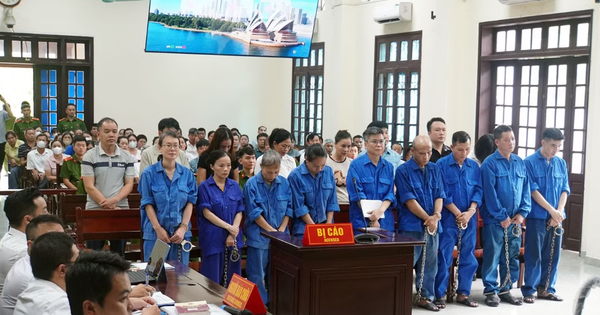 Nguyên Tổng giám đốc Đồ hộp Hạ Long bị tuyên phạt 19 năm tù vì đưa thịt lợn bệnh vào sản xuất