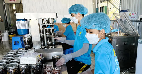 Cà Mau cần hơn 11.700 lao động, khát nhân lực chất lượng cao