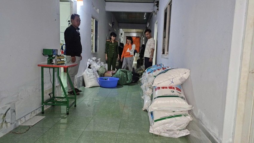 Triệt phá đường dây sản xuất bột ngọt, hạt nêm giả quy mô lớn tại Gia Lai
