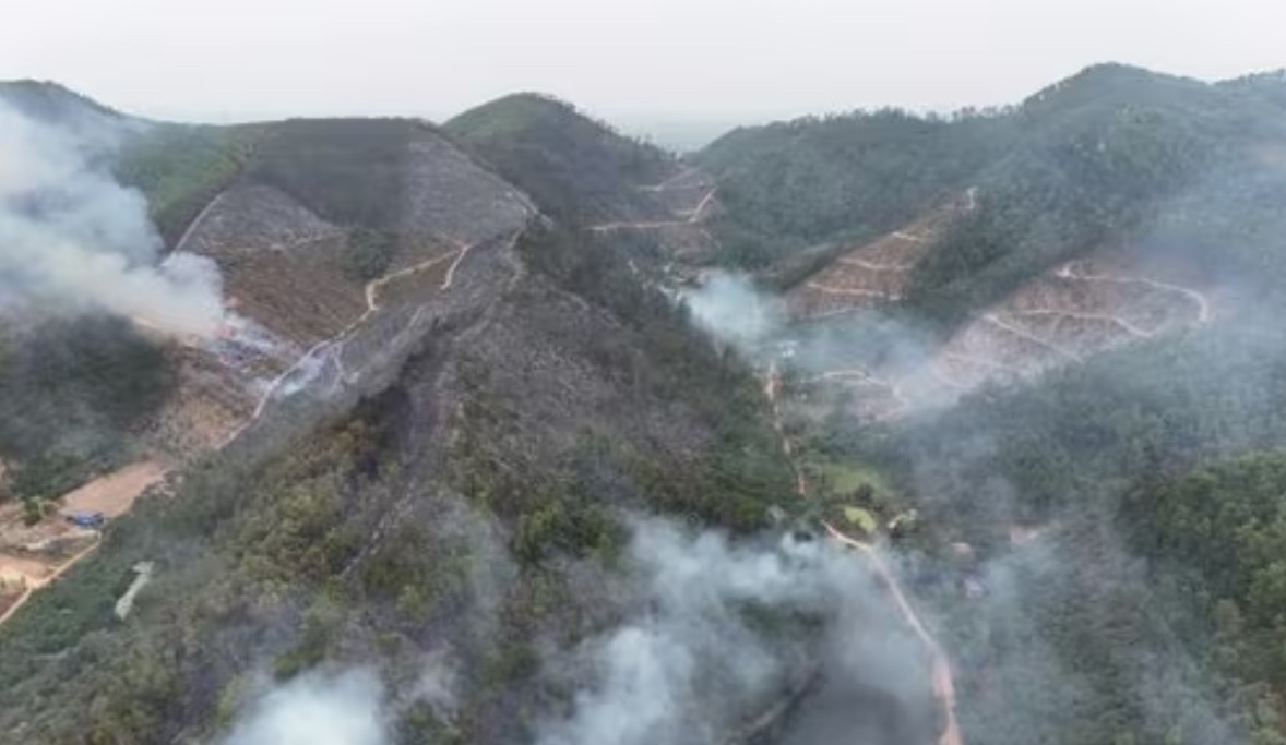 Bắc Ninh báo động cháy rừng cấp IV, yêu cầu trực chiến 12/24 giờ