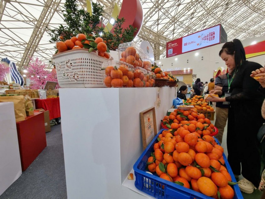 Không gian văn hóa, đặc sản ba miền hội tụ tại Hội chợ Mùa Xuân 2026