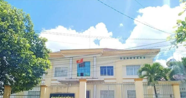 Khởi tố thêm 3 cựu lãnh đạo Công ty Cà phê Gia Lai trong vụ thất thoát hơn 3,2 tỷ đồng