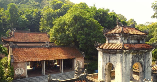 Thanh Hóa: Rà soát hơn 395ha đất và rừng tại Khu Di tích đền Bà Triệu