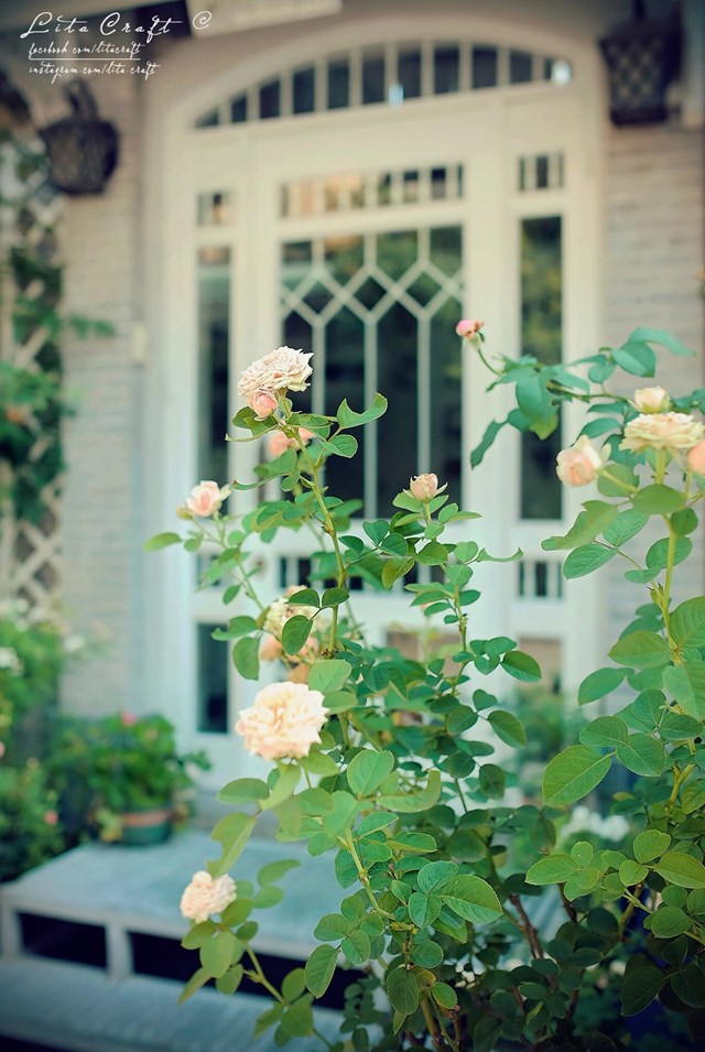 Ngôi nhà mộng mơ đẹp như phim ảnh của cặp vợ chồng trẻ Sài Gòn - Ảnh 12 Ngôi nhà mộng mơ đẹp như phim ảnh của cặp vợ chồng trẻ Sài Gòn - Ảnh 12