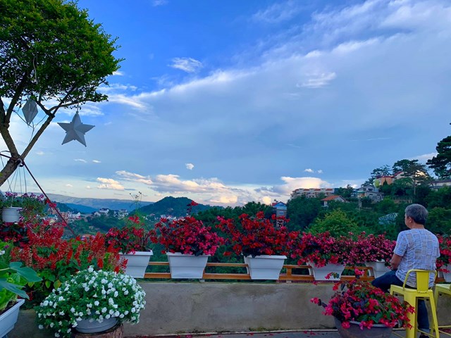 Ngôi nhà trăm sắc hoa đẹp như mơ giữa lưng chừng đồi ở Đà Lạt - Ảnh 2