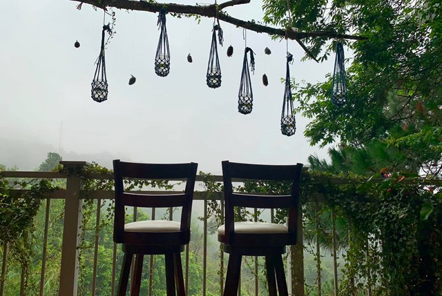 Ngôi nhà trăm sắc hoa đẹp như mơ giữa lưng chừng đồi ở Đà Lạt - Ảnh 3