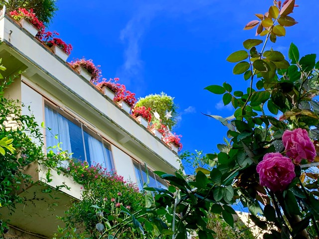 Chị Hiền kể từ l&acirc;u đ&atilde; lu&ocirc;n c&oacute; mơ ước c&oacute; một ng&ocirc;i nh&agrave; nho nhỏ b&igrave;nh y&ecirc;n để trồng hoa ở Đ&agrave; Lạt. Do đ&oacute;, khoảng chục năm trước, vợ chồng chị đ&atilde; từ TP HCM l&ecirc;n Đ&agrave; Lạt nhiều lần v&agrave; chọn được mảnh đất n&agrave;y.&nbsp; &nbsp;