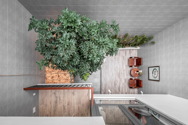 Ngôi nhà được thiết kế trong 'mùa Covid': Không có phòng ngủ riêng, tối ưu sân chơi - Ảnh 4 Ngôi nhà được thiết kế trong 'mùa Covid': Không có phòng ngủ riêng, tối ưu sân chơi - Ảnh 4