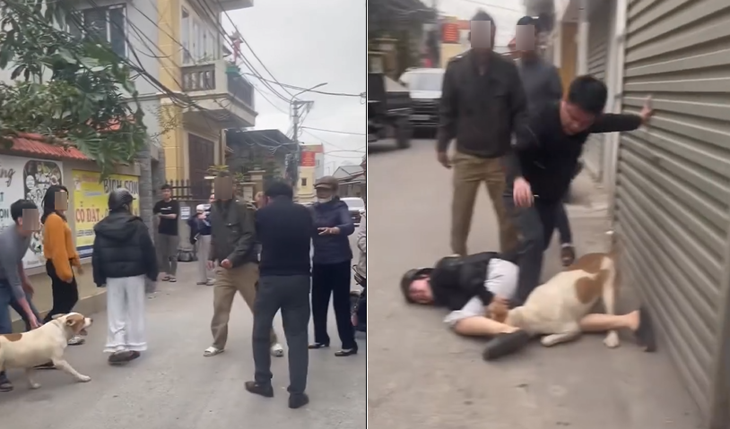 Thả chó Pitbull tấn công người, chủ nuôi có phải chịu trách nhiệm pháp lý?