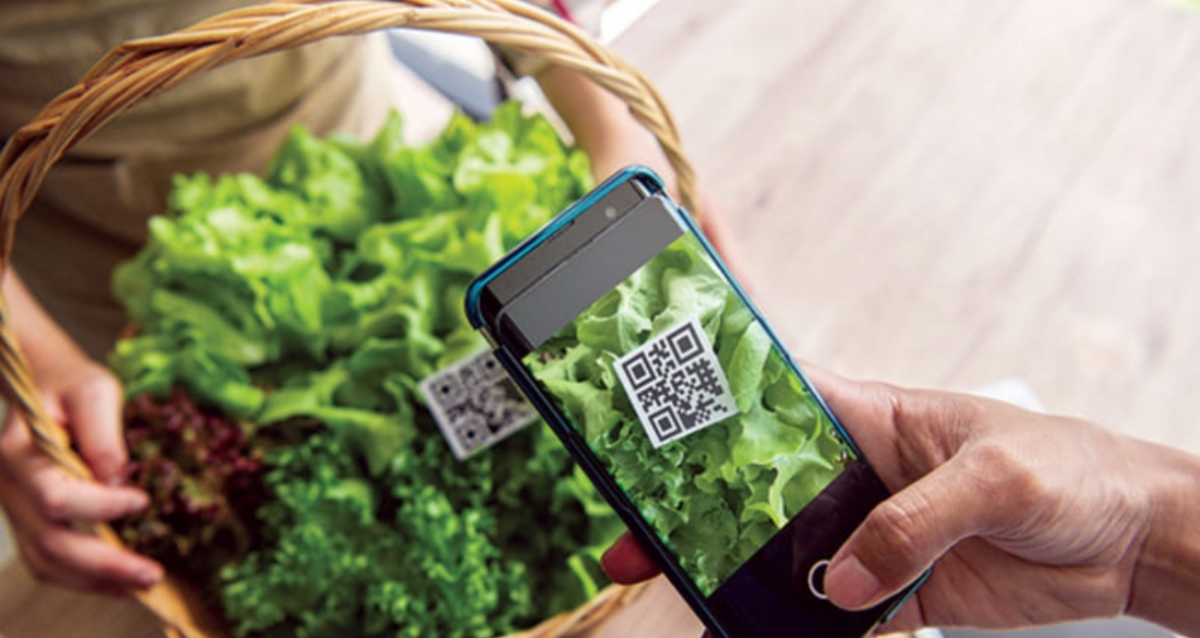 Chuẩn hóa dữ liệu truy xuất nguồn gốc nông sản xuất khẩu