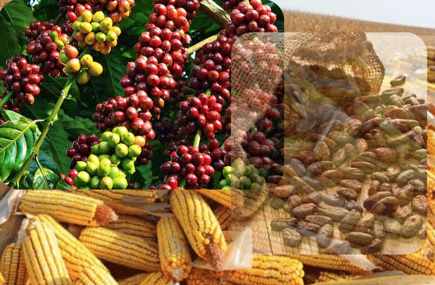 Bạc hút dòng tiền, cà phê lao dốc vì áp lực nguồn cung Bạc hút dòng tiền, cà phê lao dốc vì áp lực nguồn cung