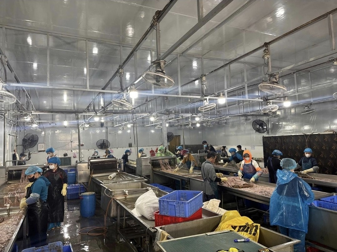 Phát hiện hơn 63 tấn lòng lợn bốc mùi, không rõ nguồn gốc giữa Thủ đô