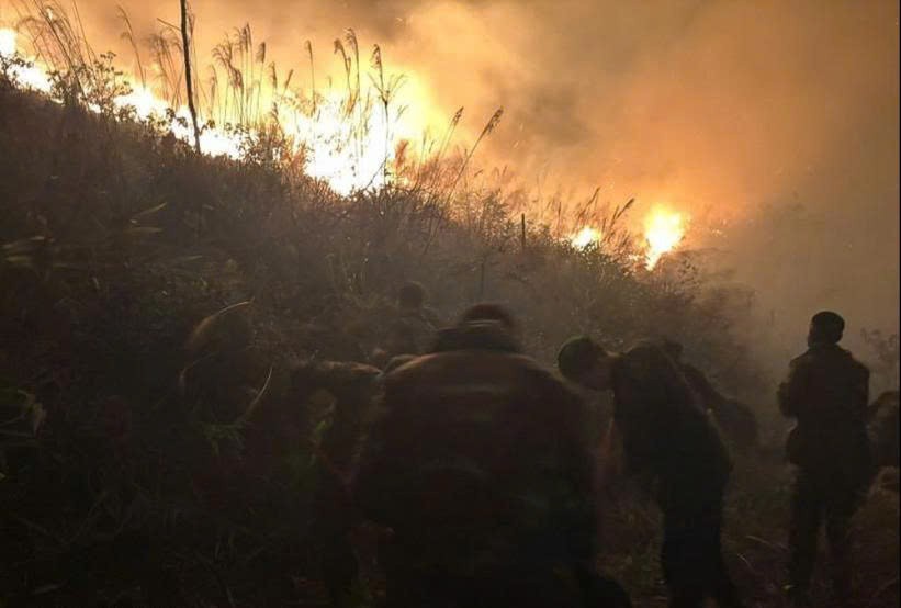 Hiện trường vụ cháy rừng. Hiện trường vụ cháy rừng.