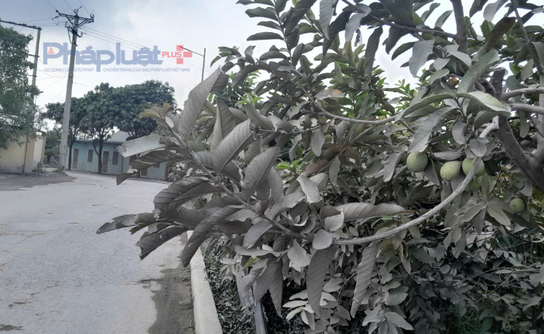 Bát Tràng, Hà Nội: Bến bãi, trạm trộn bê tông xả khói bụi bức tử người dân thành phố