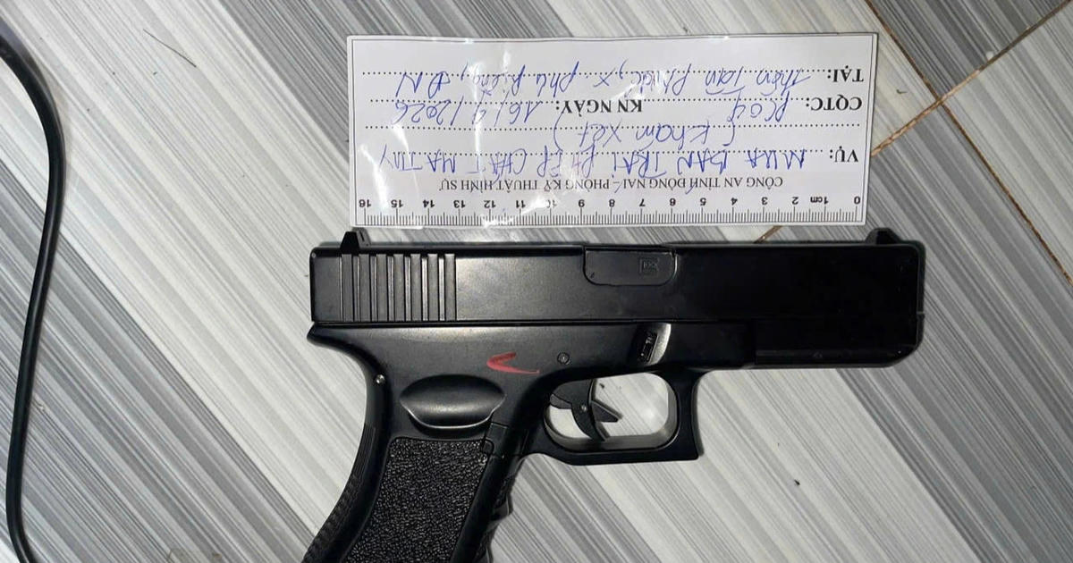 Triệt phá đường dây ma túy quy mô lớn ở Đồng Nai, thu giữ 4 khẩu súng và 18 viên đạn