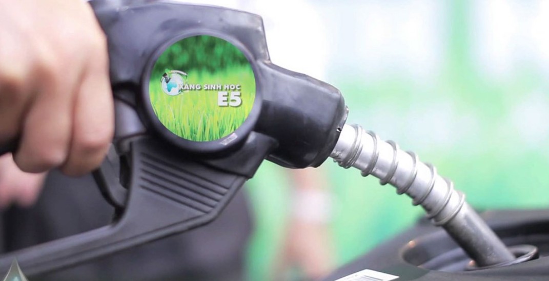 Từ 1/6/2026, chính thức sử dụng xăng sinh học