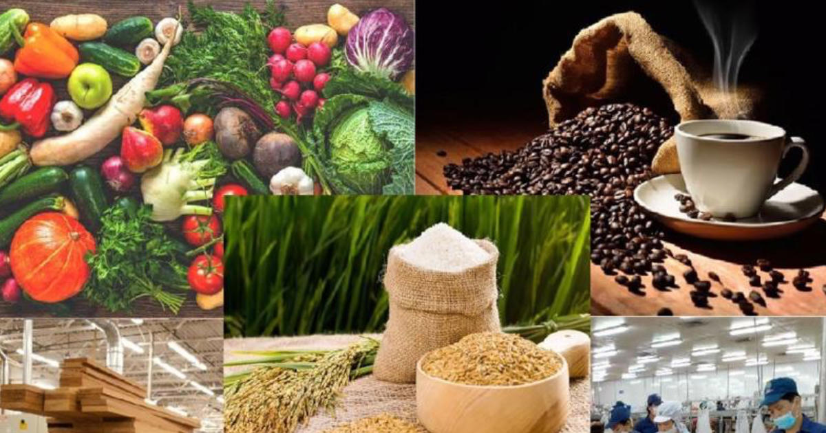 Đẩy mạnh giá trị nông sản cho mục tiêu xuất khẩu 100 tỷ USD