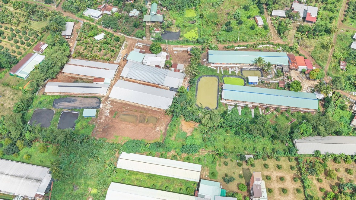 Trại heo bốc mùi phân thối nồng nặc ở Đồng Nai: Người dân mong chính quyền xử lý dứt điểm Trại heo bốc mùi phân thối nồng nặc ở Đồng Nai: Người dân mong chính quyền xử lý dứt điểm