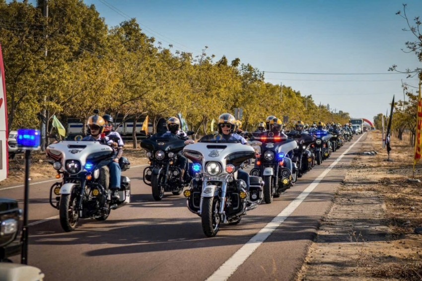 Những màn trình diễn tuyệt hảo.